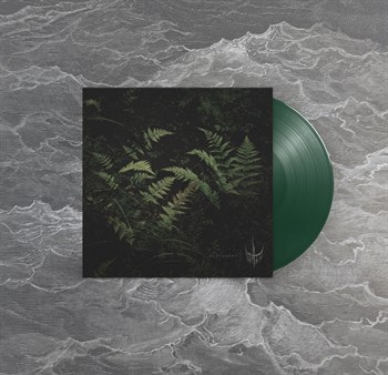 Varhara Пустоцвет - фото 5505