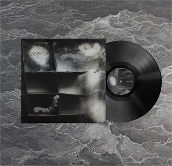 4 Позиции Бруно Шерсть (ПРЕДЗАКАЗ) - фото 6140