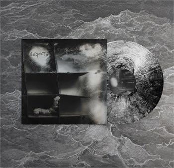 4 Позиции Бруно Шерсть