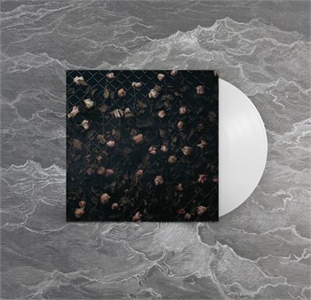 WLVS Заповедник последних иллюзий