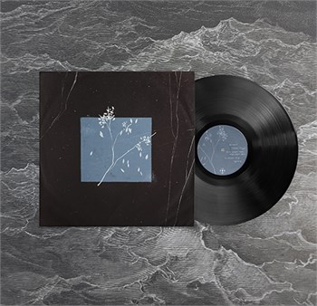 Bird Bone - Лейтмотив Лейтмотив (Black Friday)