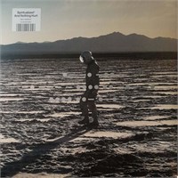 Spiritualized And Nothing Hurt