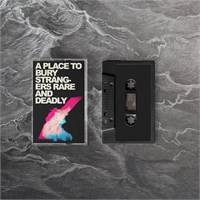 A Place To Bury Strangers Rare And Deadly (MC)