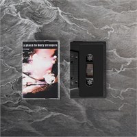 A Place To Bury Strangers A Place To Bury Strangers (MC)