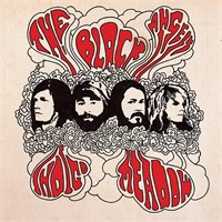The Black Angels Indigo Meadow
