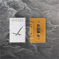 Орнитология Песни для синтезатора (MC)