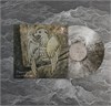 Порез на Собаке Твоими Молитвами (Deluxe) (ПРЕДЗАКАЗ)